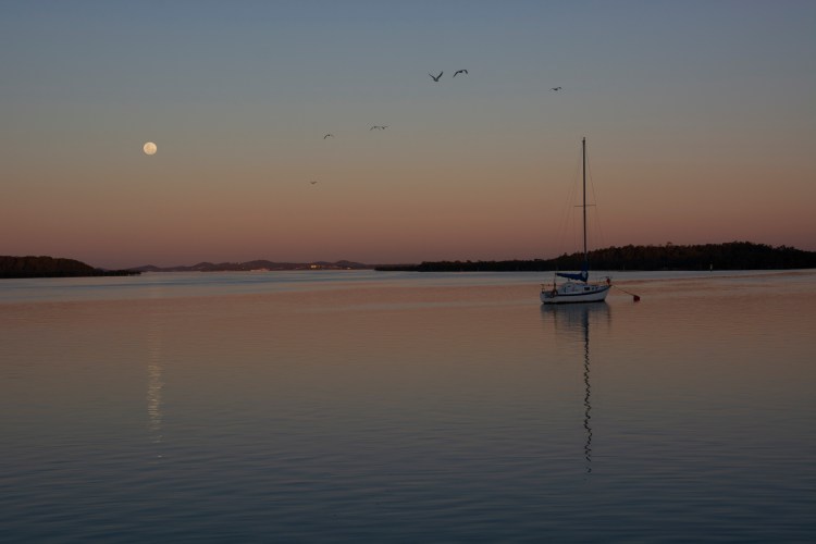 DSC_0726 Karuah River